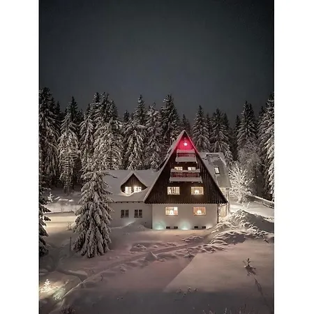 Dream View Comfortable *