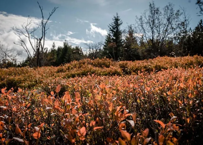 بيت للعطل Dream View Comfortable *