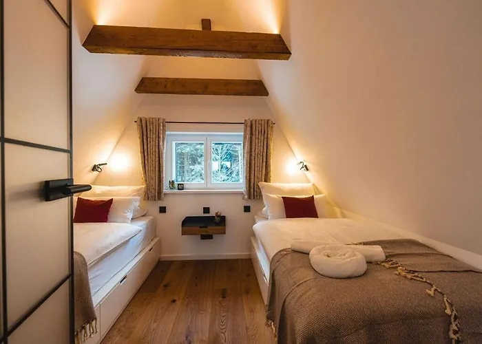 Dream View Comfortable