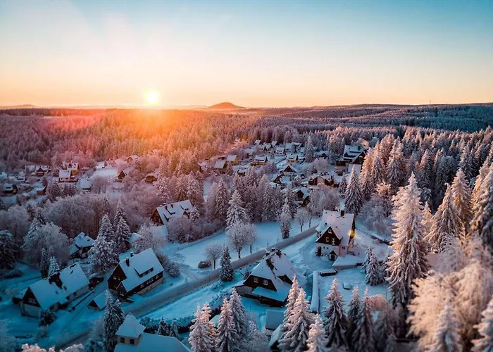 Dream View Comfortable