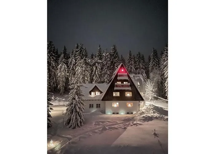 Dream View Comfortable *